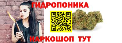 PSILOCYBIN Туймазы