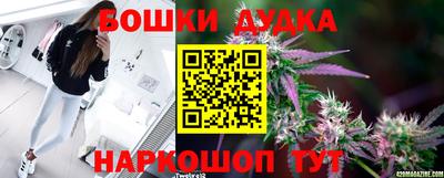 PSILOCYBIN Туймазы